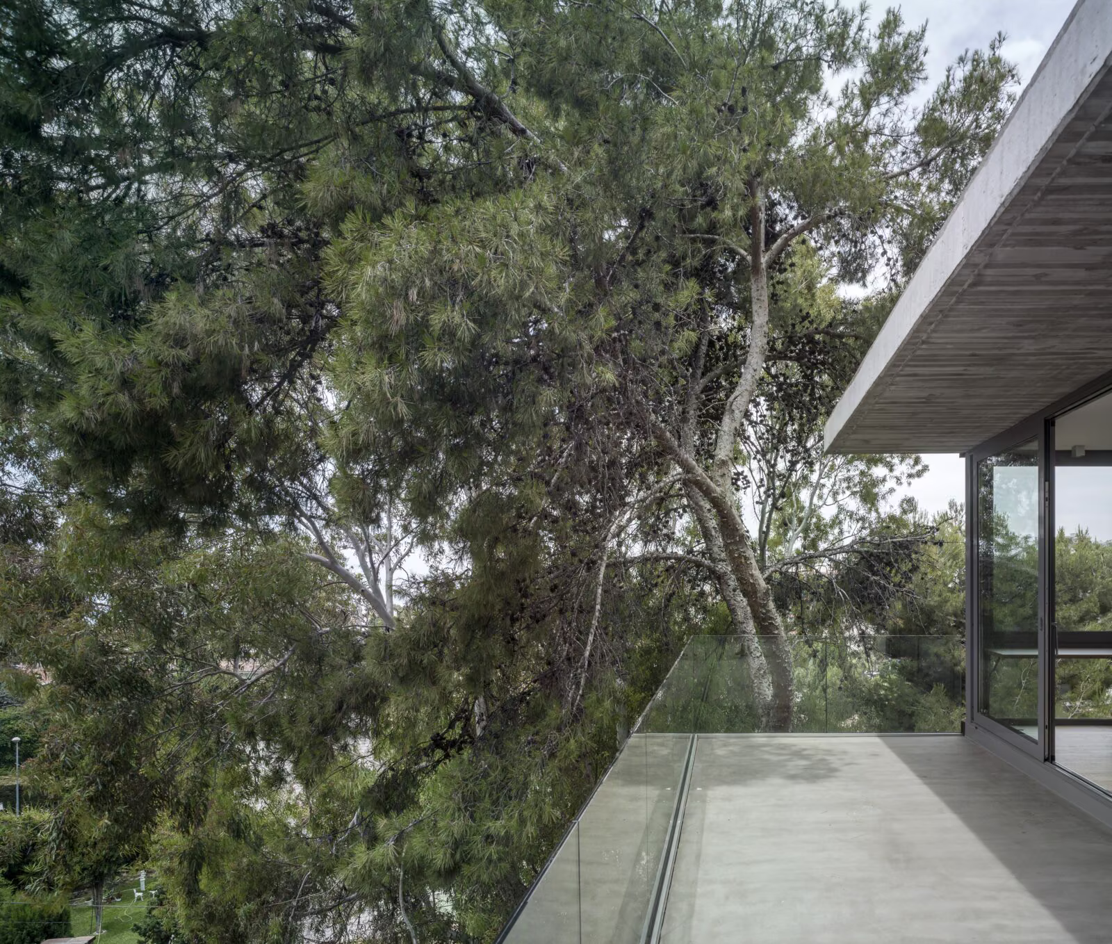 House in the Pinewood: terrace with the pinewood as skin and natural protection. Rafael de Lacour.