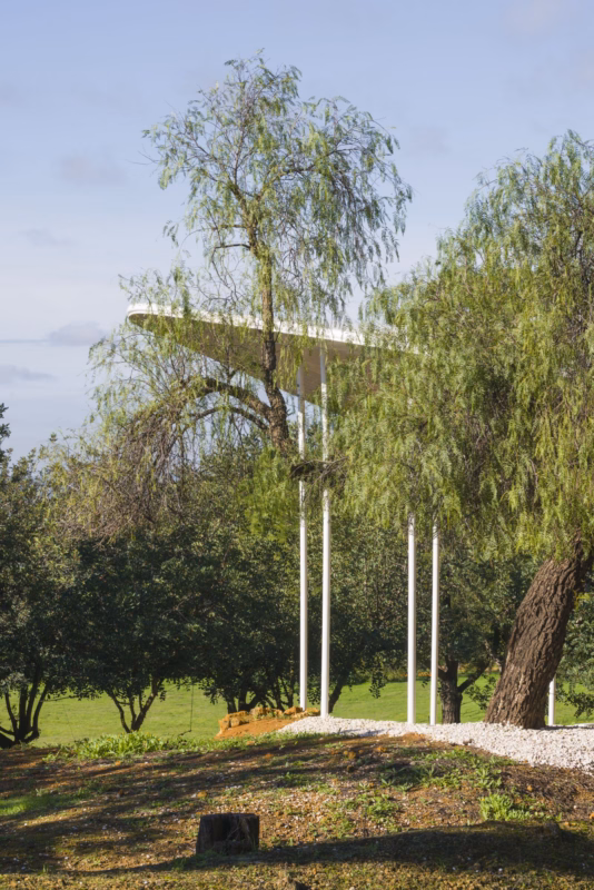 Slender tubular steel supports of the canopy seen through the trees of the Carmona Archaeological Complex. Nd_Arquitectos. Spain. Photo by Jesús Granada.