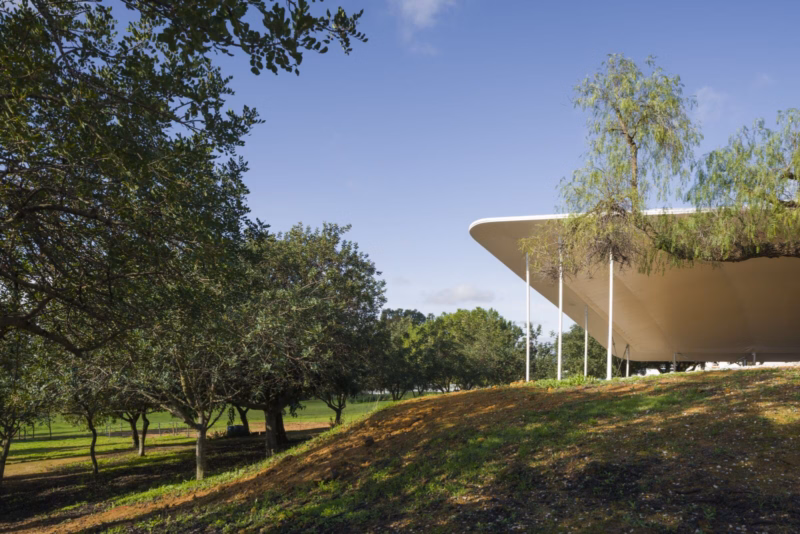 View of the textile canopy through the olive trees and Mediterranean vegetation of the Carmona Archaeological Complex. Nd_Arquitectos. Spain. Photo by Jesús Granada.