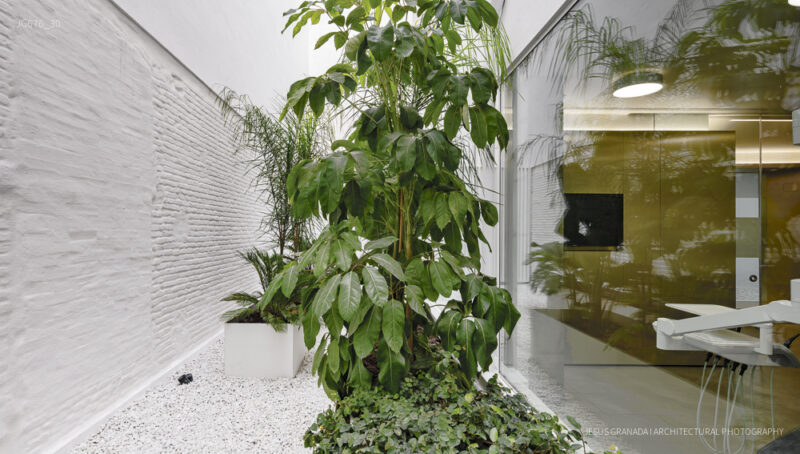 Golden Dental Clinic Golden Dental Clinic