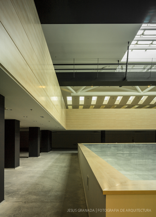 Javier Jiménez Sánchez Dalp, Ignacio Morales Hevia Javier Jiménez Sánchez Dalp, Ignacio Morales Hevia