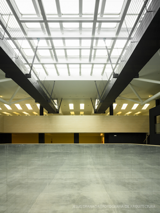 Javier Jiménez Sánchez Dalp, Ignacio Morales Hevia Javier Jiménez Sánchez Dalp, Ignacio Morales Hevia