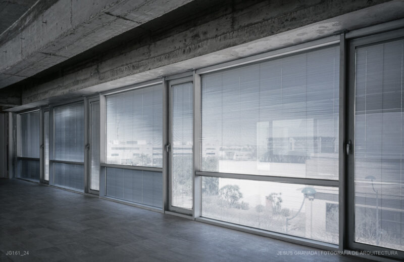 Instituto Andaluz de Biotecnología