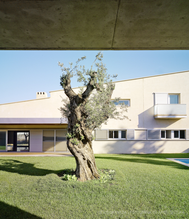 FELIX POZO OLGA FAJARDO