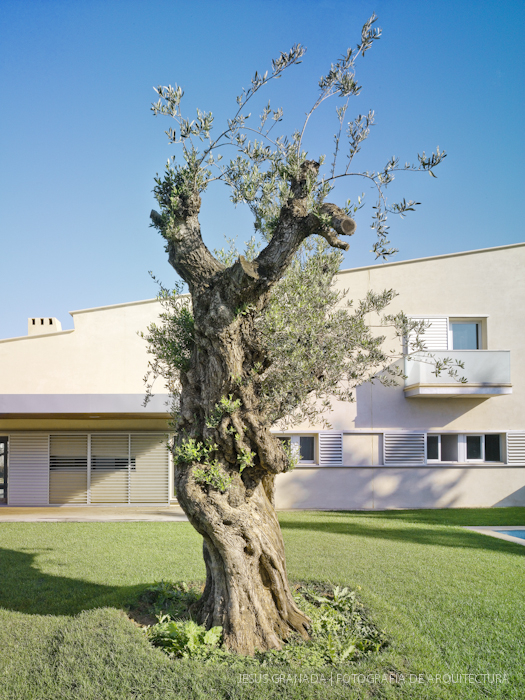 FELIX POZO OLGA FAJARDO