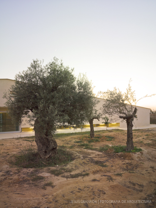 FELIX POZO OLGA FAJARDO