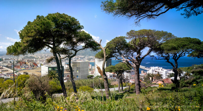 Viviendas sociales en Montehacho