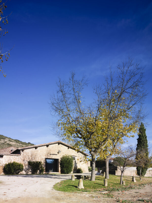 Sala de Catas y Zona de Recepción de las Bodegas Contino