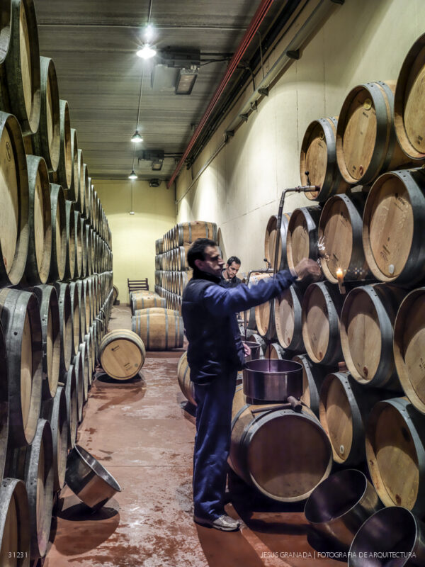 Sala de Catas y Zona de Recepción de las Bodegas Contino