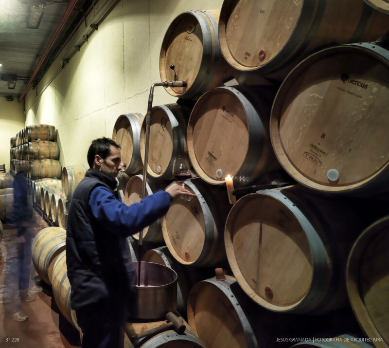 Sala de Catas y Zona de Recepción de las Bodegas Contino