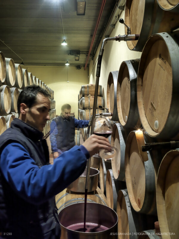 Sala de Catas y Zona de Recepción de las Bodegas Contino