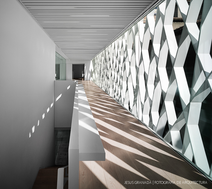 abc museum ilustracion aranguren gallegos 34422