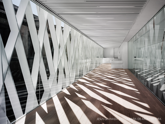 abc museum ilustracion aranguren gallegos 34426