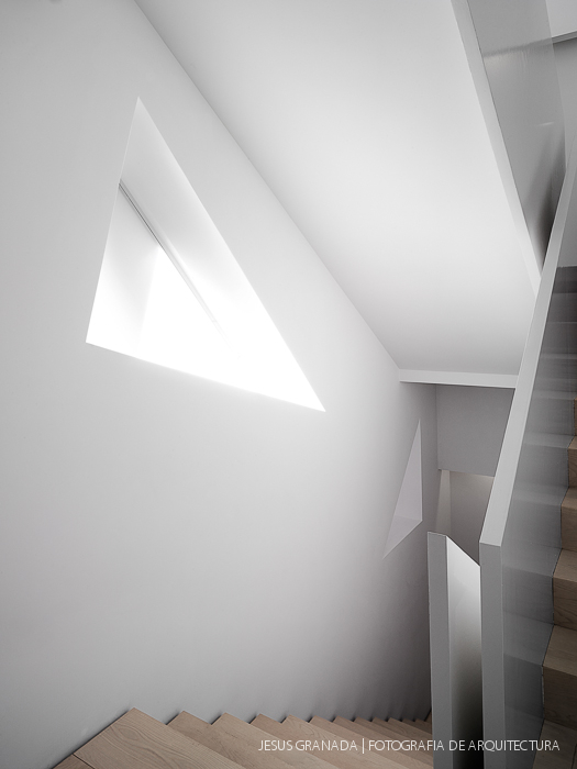 abc museum ilustracion aranguren gallegos 34436