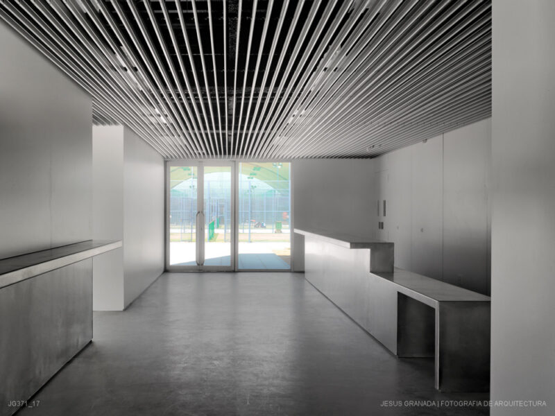 SEVILLA CARTUJA DEPORTE MARIA CAYUELA FRANCISCO MARQUE S GIMNASIOJG371 17