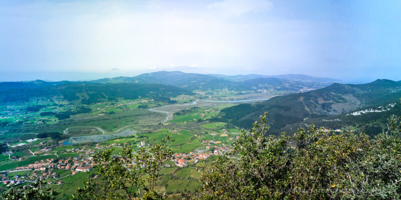 Centro de Interpretación de aves, Urdaibai Bird Center