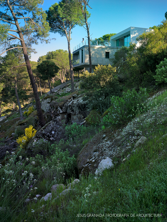 casa en un pantano moremas arquitectos 37002