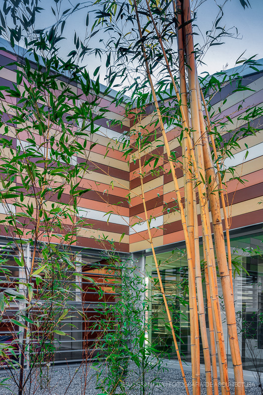 CEIP PARQUE GOYA ZARAGOZA MAGEN ARQUITECTOS JG353 81