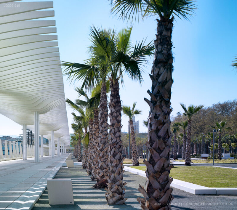 PALEMRAL MALAGA MUELLE JUNQUERA ARQUITECTOS SORPRESAS JG309 045