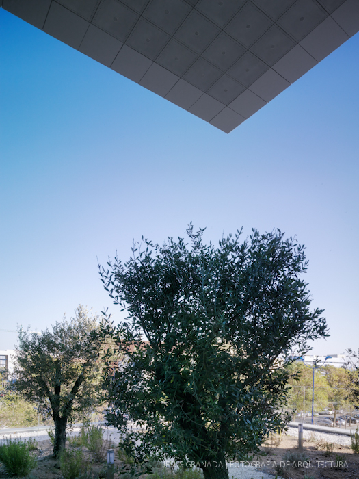 Ruiz-Larrea y Asociados