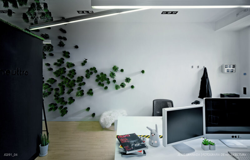 Estudio y vivienda de 45m2