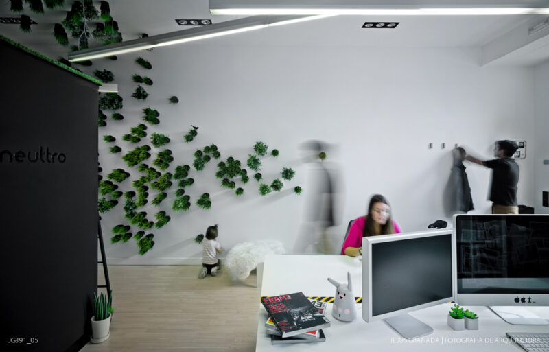 Estudio y vivienda de 45m2