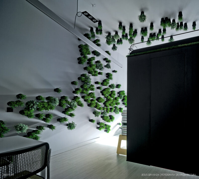 Estudio y vivienda de 45m2