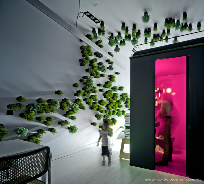 Estudio y vivienda de 45m2