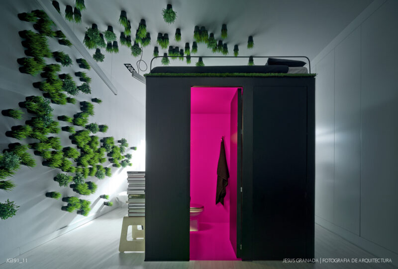 Estudio y vivienda de 45m2