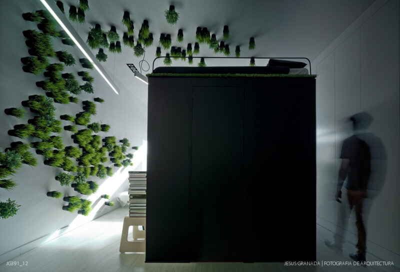 Estudio y vivienda de 45m2