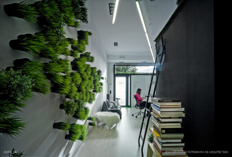 Estudio y vivienda de 45m2