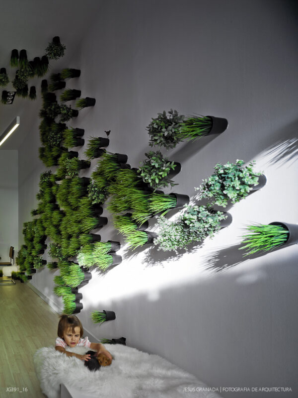 Estudio y vivienda de 45m2