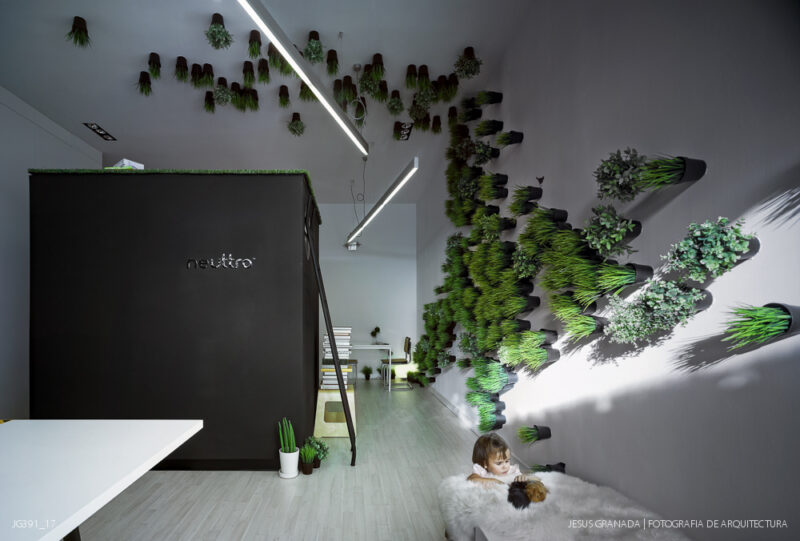 Estudio y vivienda de 45m2