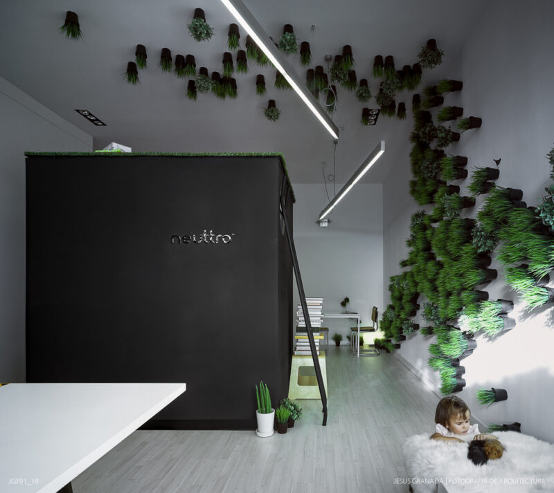 Estudio y vivienda de 45m2