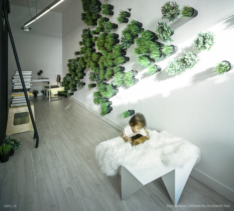 Estudio y vivienda de 45m2