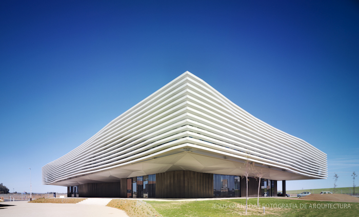 HORACIO FERNANDEZ DEL CASTILLO