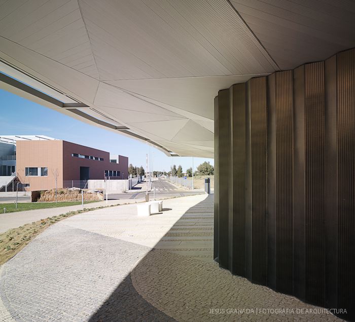 HORACIO FERNANDEZ DEL CASTILLO