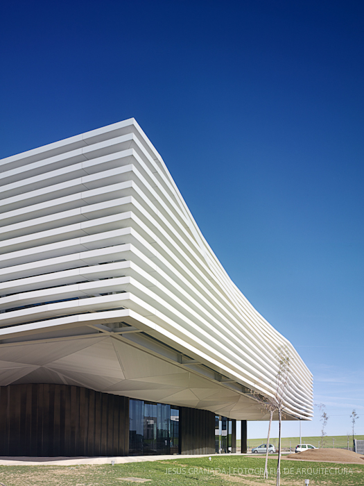 HORACIO FERNANDEZ DEL CASTILLO