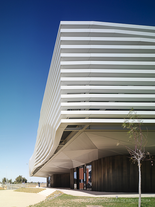 HORACIO FERNANDEZ DEL CASTILLO