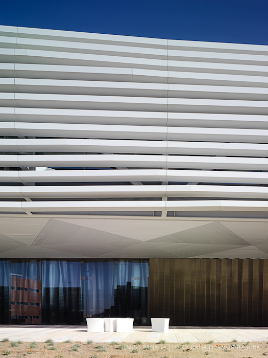 HORACIO FERNANDEZ DEL CASTILLO