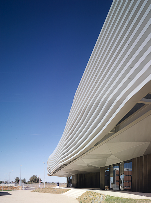 HORACIO FERNANDEZ DEL CASTILLO