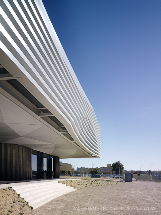 HORACIO FERNANDEZ DEL CASTILLO