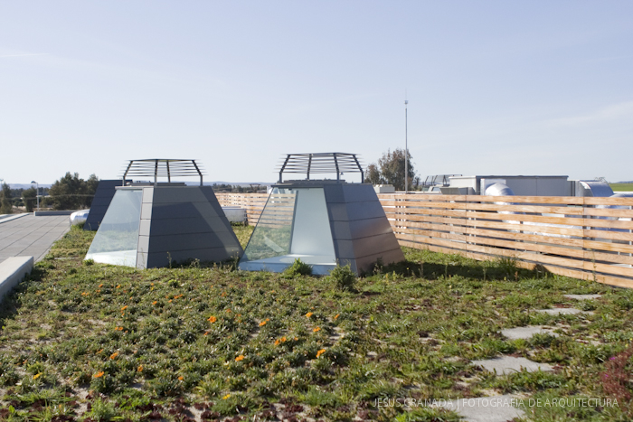 HORACIO FERNANDEZ DEL CASTILLO