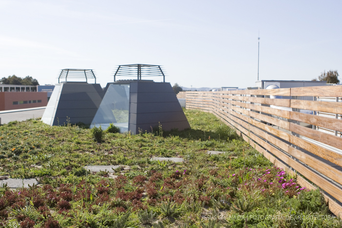 HORACIO FERNANDEZ DEL CASTILLO