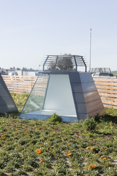 HORACIO FERNANDEZ DEL CASTILLO