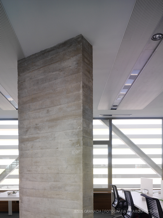 HORACIO FERNANDEZ DEL CASTILLO