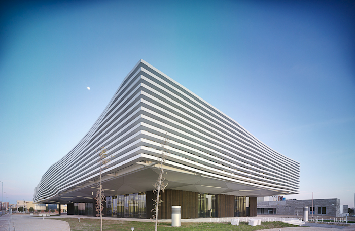 HORACIO FERNANDEZ DEL CASTILLO