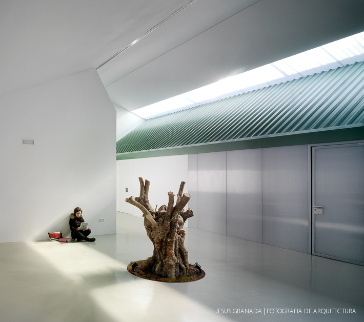 malaga oam arquitectos 40231