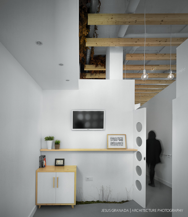 DENTAL CLINIC ORTHO STUDIO INTERIORIST 39911