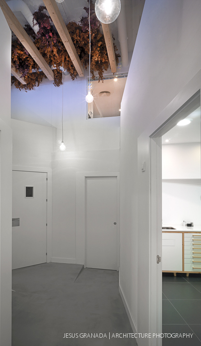 DENTAL CLINIC ORTHO STUDIO INTERIORIST 39933